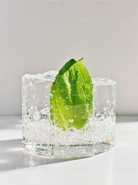 Refreshing sparkling water with fresh green mint leaf