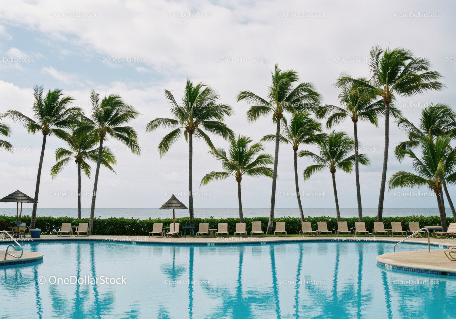 Tropical Beach Resort with Palm Trees and Swimming Pool Scene