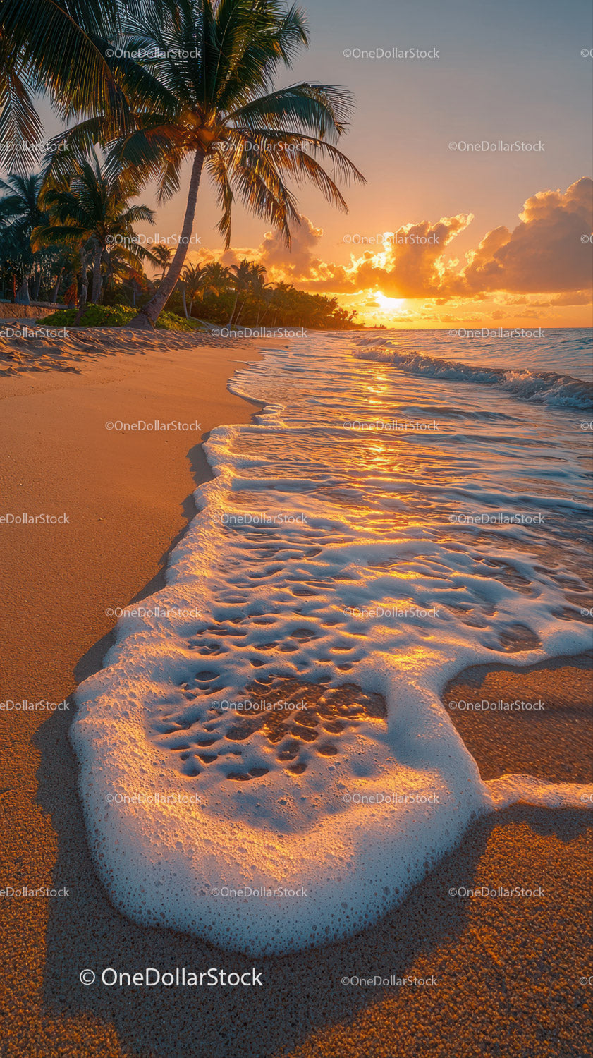 Sunset over Tropical Beach with Palm Trees and Footprints
