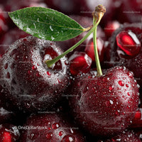 Fresh Juicy Red Cherries with Water Droplets for Summer Snacking
