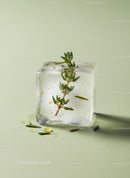 Fresh Herb Encased in Clear Ice Cube with Green Background
