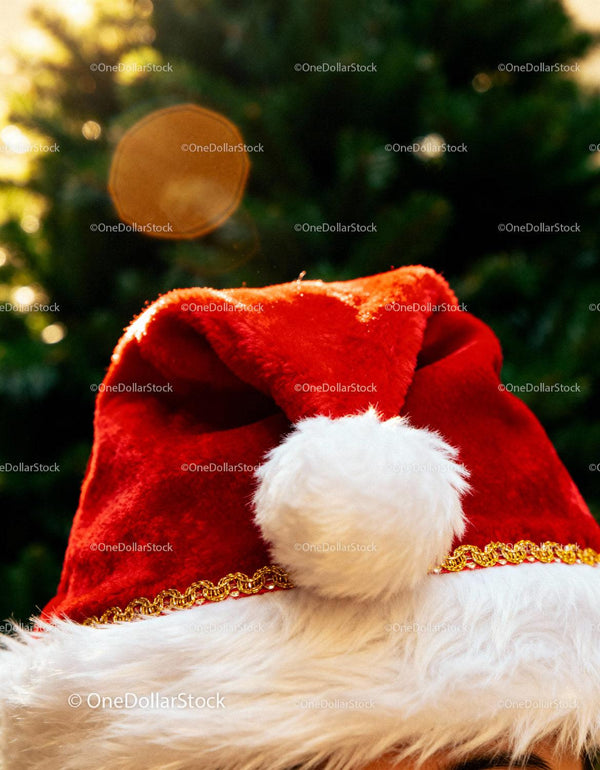 Classic Santa Claus Hat with Soft Furry Trim