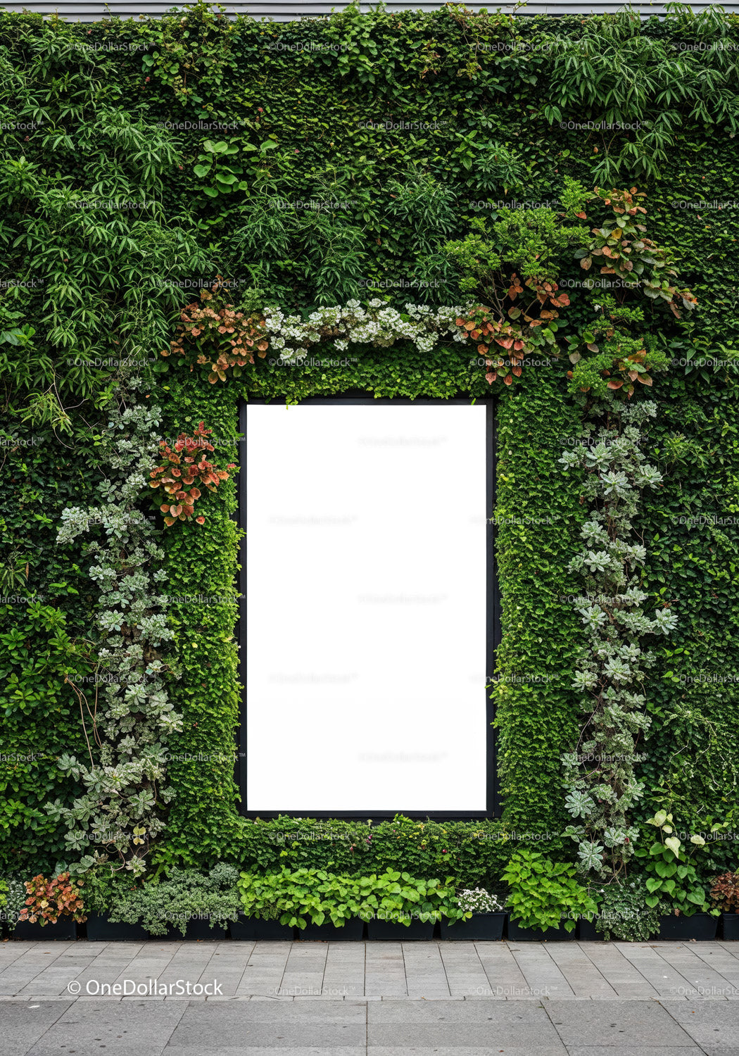 Green Wall with Framed Blank White Space