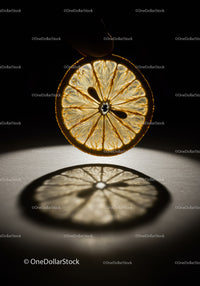Backlit slice of lemon showing intricate details and shadow