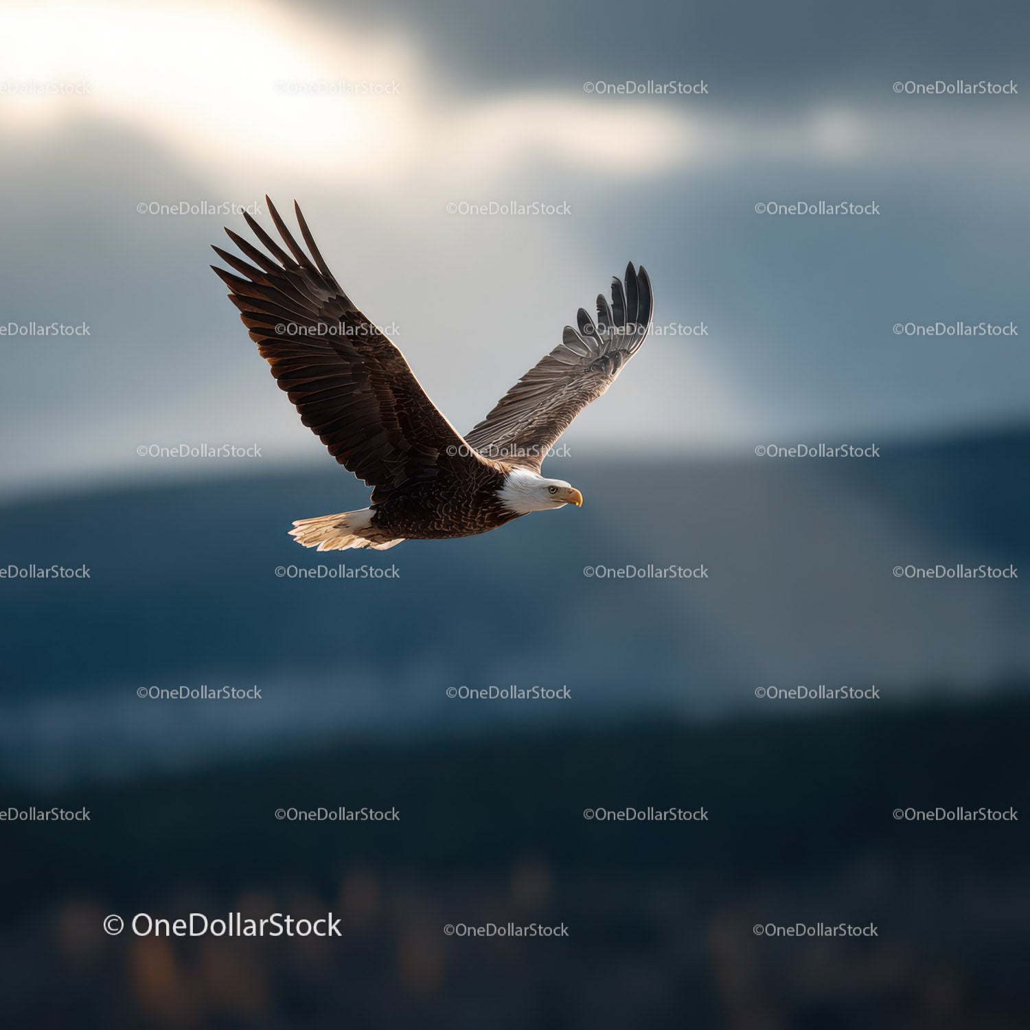 Majestic Bald Eagle in Flight Over Mountainous Landscape