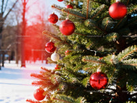 Outdoor Christmas tree decorated with red and white baubles
