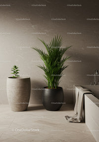 Elegant Indoor Potted Plants in Stylish Modern Home Decor