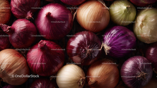 Fresh Red, Yellow, and Purple Onion Bulbs for Cooking and Culinary Use