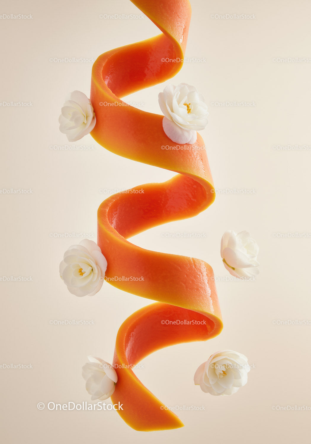 Delicate white flowers decorating bright orange peel spiral