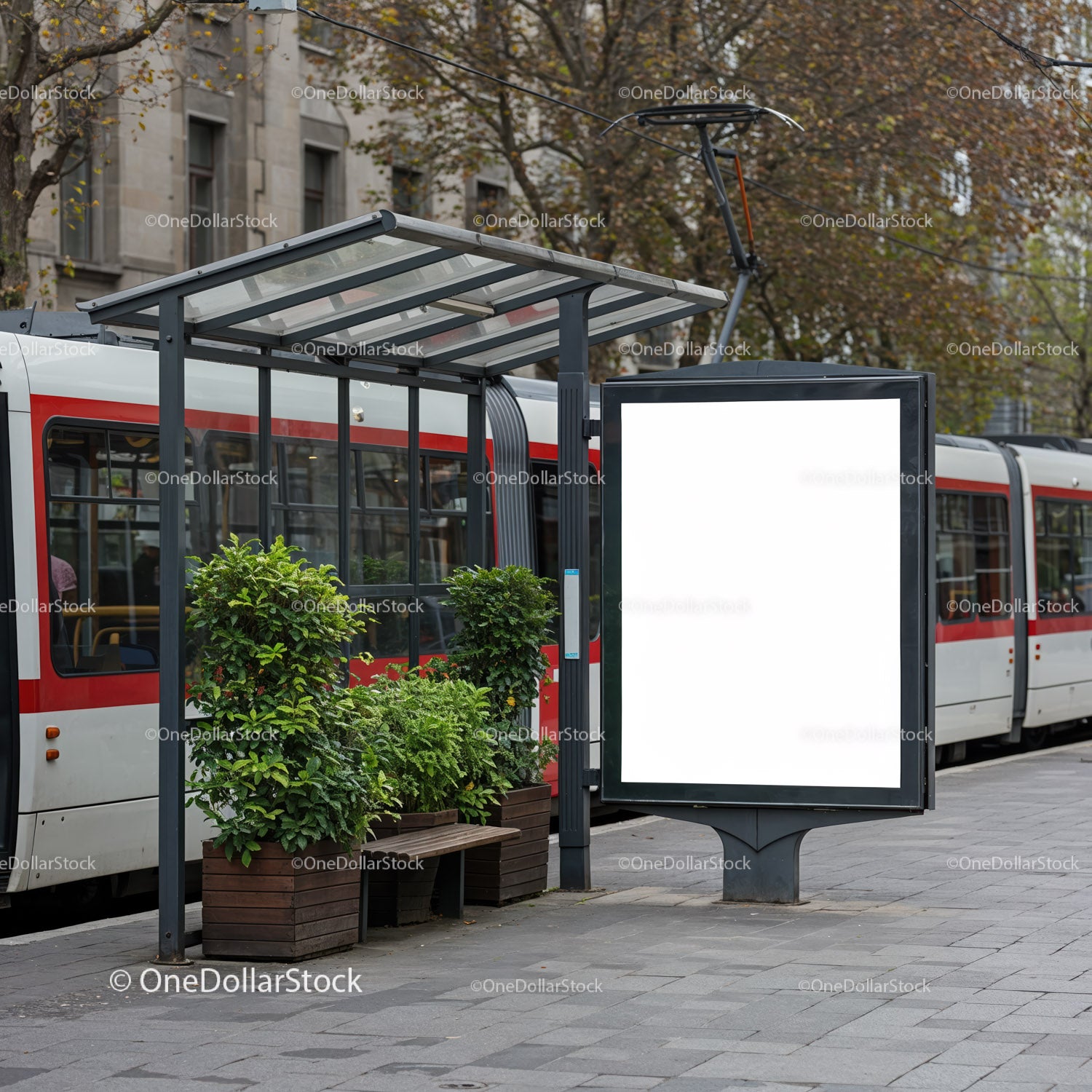 Modern tram stop shelter with greenery and blank billboard