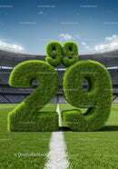 Grass covered numbers 29 and 99 on football field