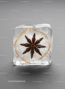 Star Anise Encased in a Clear Ice Cube Close Up
