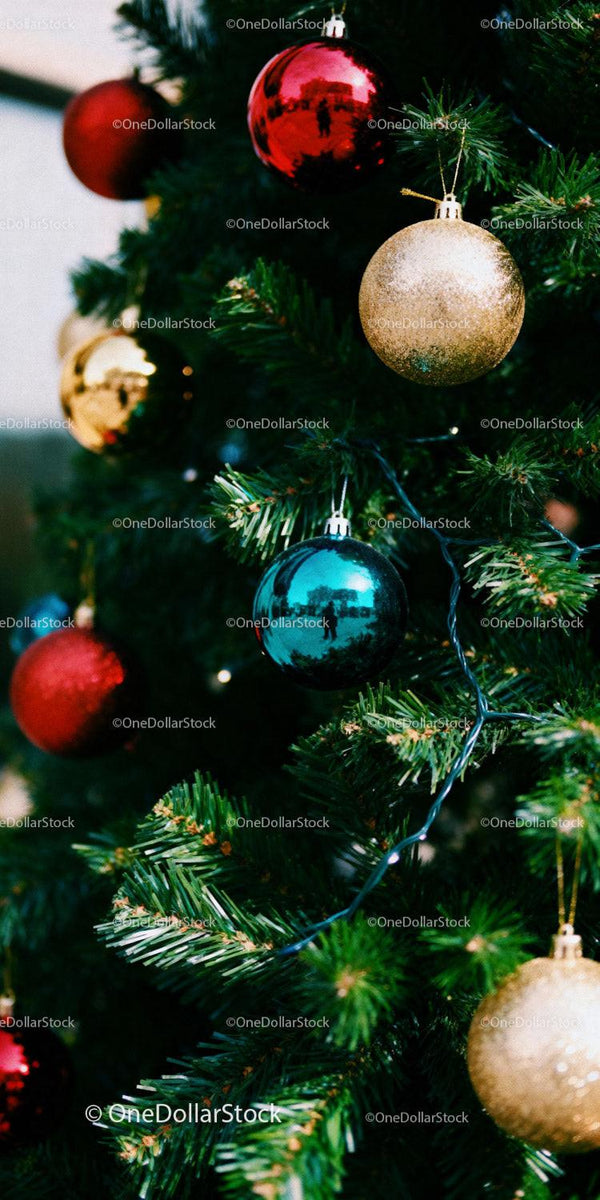 Close-up of Christmas tree with colorful ornaments