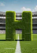 Green Hedge Letter H on Football Stadium Field