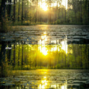 urban photography edit with Forest Warm Glow Grain Lightroom presets