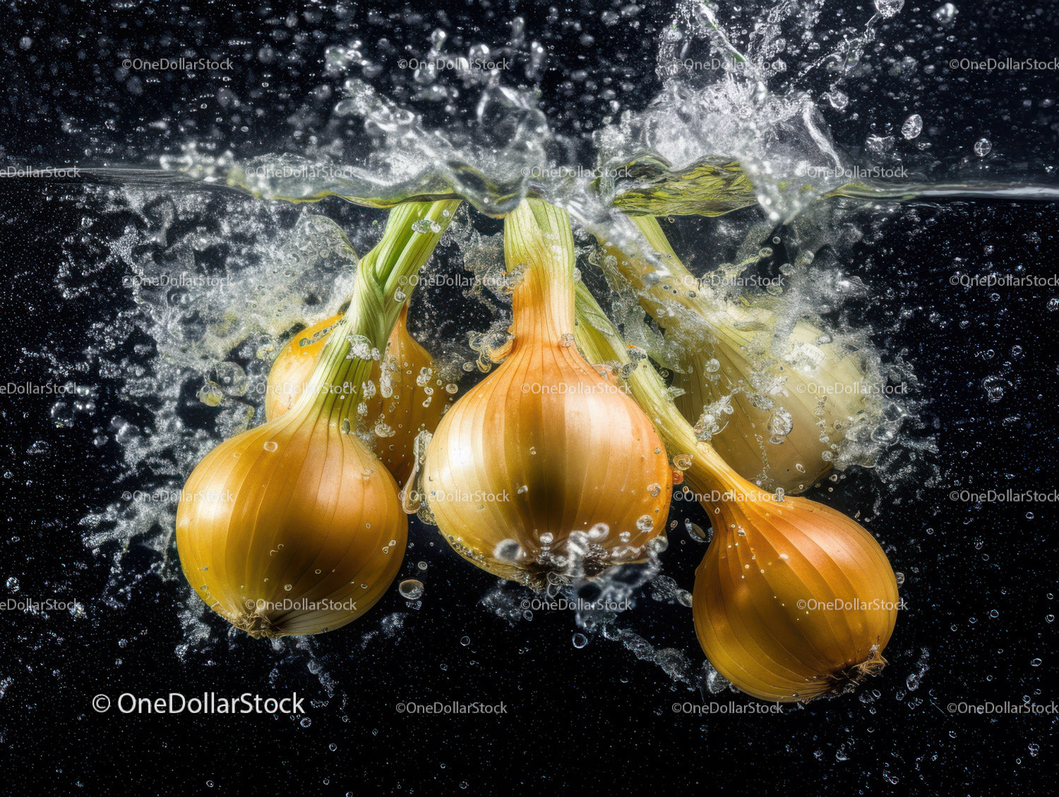 Fresh Green and Yellow Onions Splashing in Water