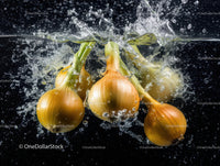 Fresh Green and Yellow Onions Splashing in Water