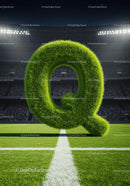 Grass Covered Letter Q on Stadium Soccer Field
