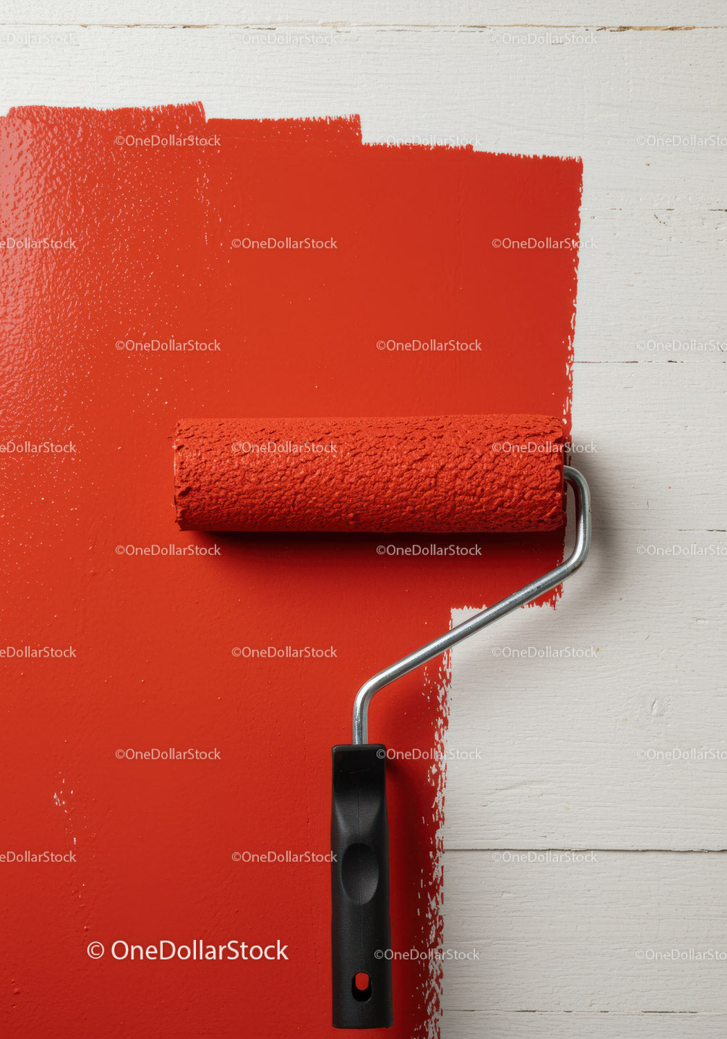 Red Paint Being Applied with Roller on White Wall for Home Renovation