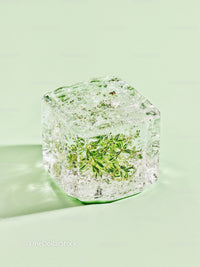 Fresh Herb Encased in Clear Ice Cube on Green Surface