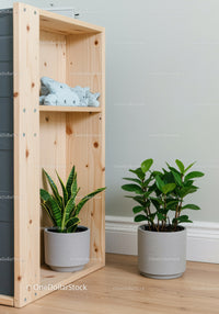 Indoor Houseplants with Green Foliage Next to Wooden Shelf in Modern Home