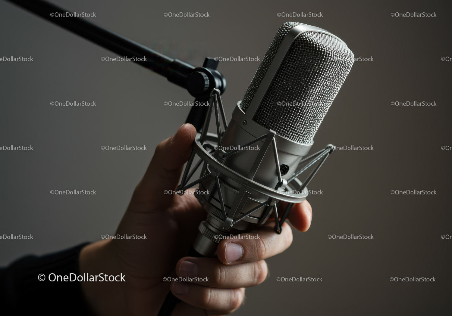 Professional Studio Microphone for Voice and Music Recording