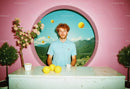 Young Man Sitting at Table with Lemon and Coffee in Scenic Room