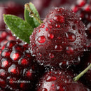 Close-up of Dew-covered Blackberries Highlighting Juicy Freshness