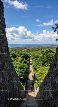 Scenic Stone Staircase in Tropical Garden with Lush Greenery and Ocean View