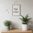Indoor Greenery and Modern Potted Plants for Stylish Home Decor