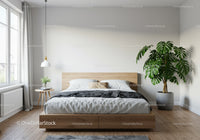 Modern Minimalist Bedroom with Large Window and Houseplant Decor