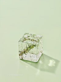Frozen Ice Cube with Herb in Soft Light