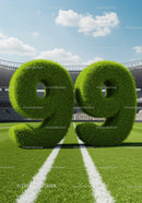 Grass Covered Number Ninety Nine on Stadium Field