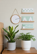 Indoor Green Plants in Stylish White and Gray Pots for Home Decor