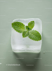 Fresh mint leaves encased in clear ice cube
