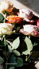 Delicate Cluster of Soft Toned Roses in Natural Light
