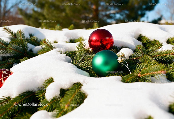 Christmas ornaments resting on snowy pine branches