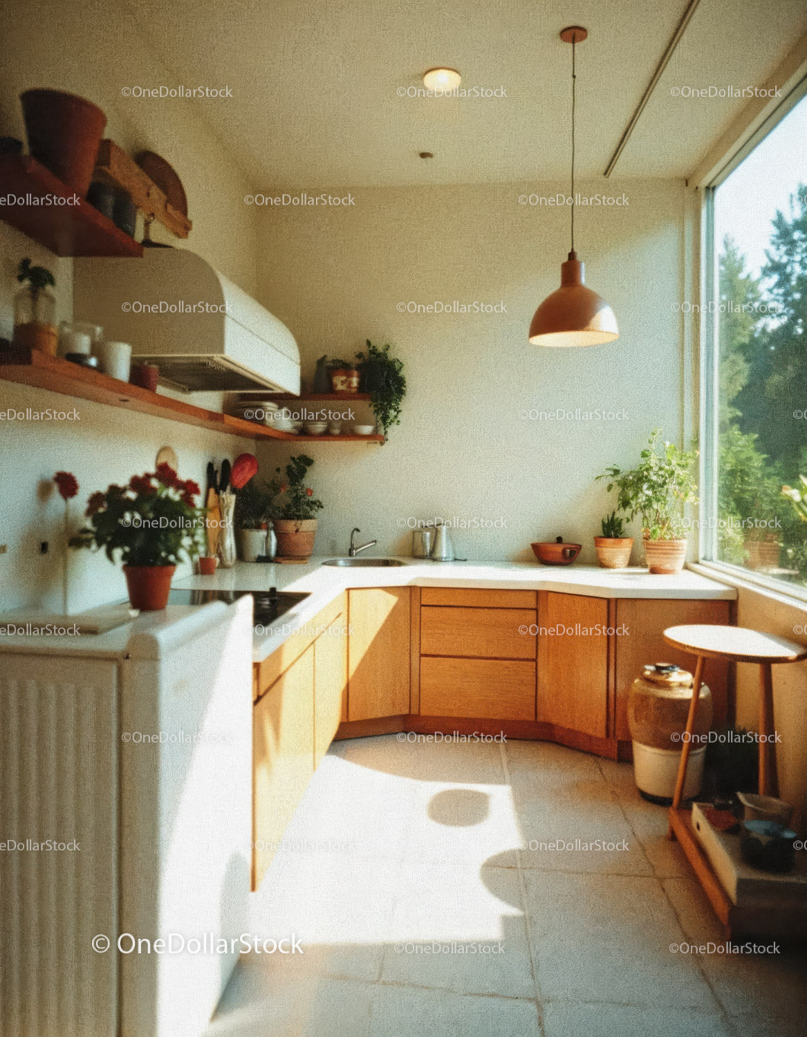 Bright and Cozy Kitchen with Wooden Cabinets and Sunlit Decor