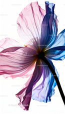 Delicate translucent flower petals illuminated by sunlight