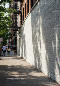 City Sidewalk with Pedestrians and Tree Shadows