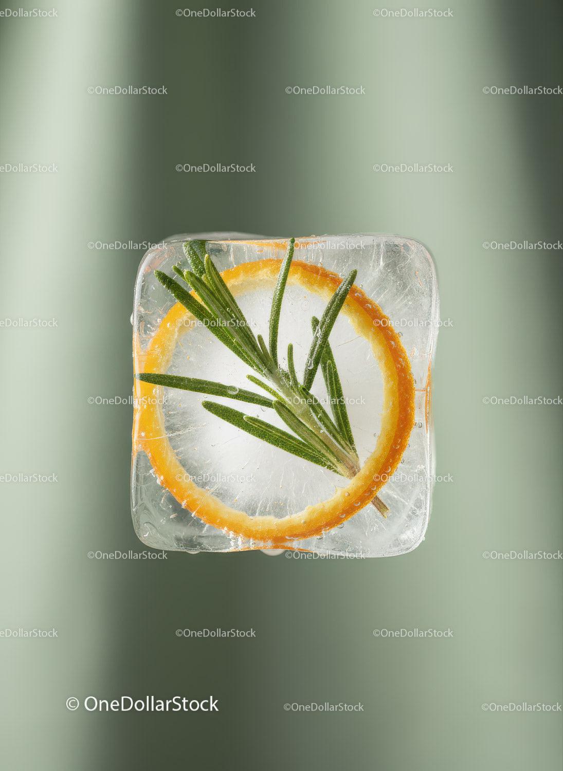 Frozen ice cube with orange slice and rosemary herb