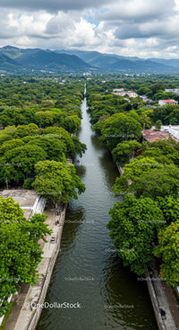 Serene River Running Through Lush Green Forest with Mountain Backdrop