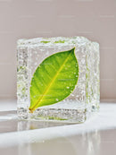 Fresh green leaf frozen inside a transparent ice cube