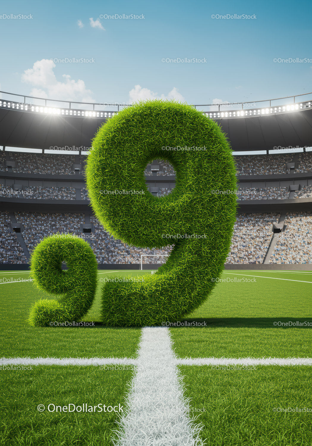 Large Grass Number Nine on Soccer Field with Stadium Crowd