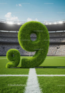 Large Grass Number Nine on Soccer Field with Stadium Crowd
