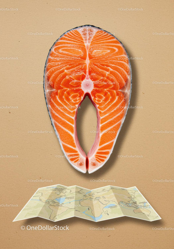 Fresh salmon steak above a folded world map on brown