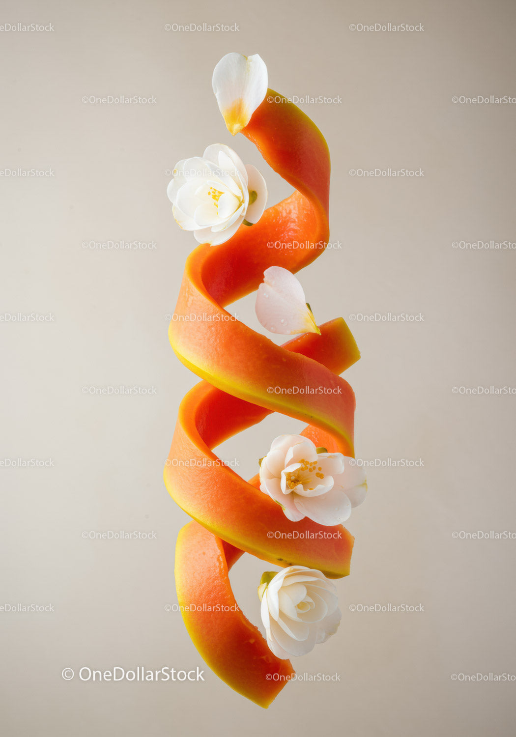Spiral Papaya Peel Decorated with White Flowers