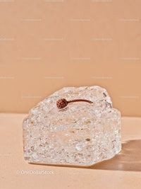 Small Seed Embedded in Clear Chunk of Ice on Beige Surface