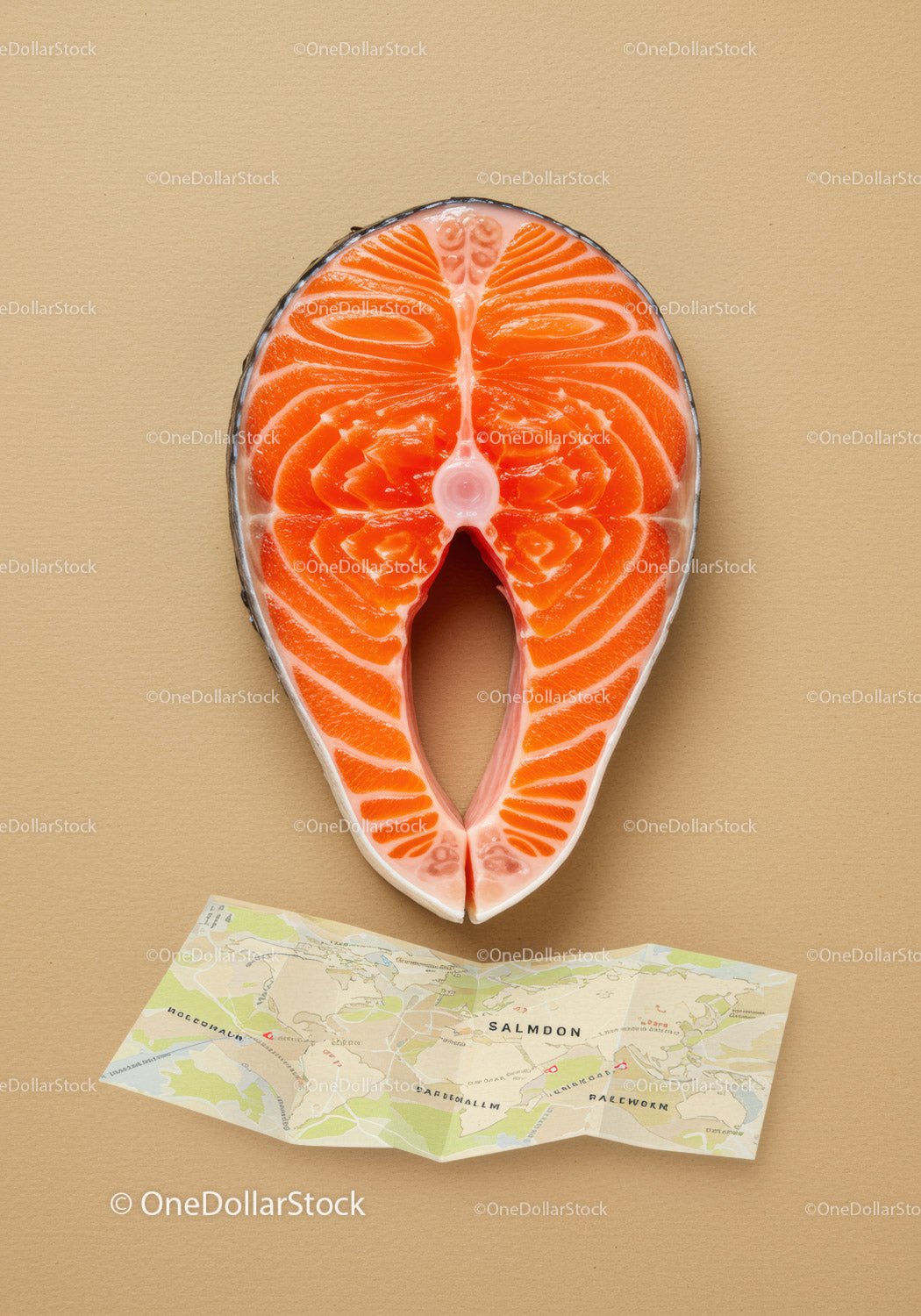 Fresh Salmon Steak with Folded Map on Beige Background
