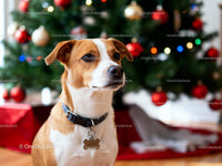 Thoughtful dog sitting near decorated Christmas tree